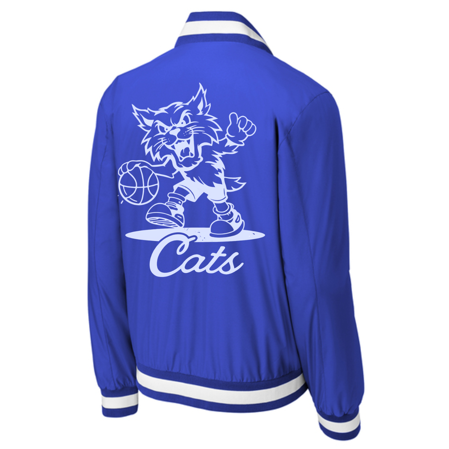 Retro Cats Varsity Jacket